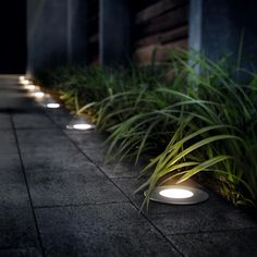 some lights that are on the side of a building near plants and grass at night