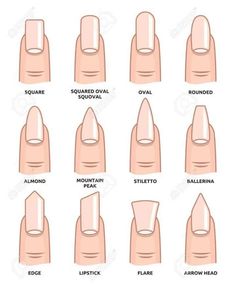 Nail Shape Chart Different Nail Shapes, Round Nails, Nail Forms, Summer Acrylic Nails, Pretty Acrylic Nails, Short Acrylic Nails