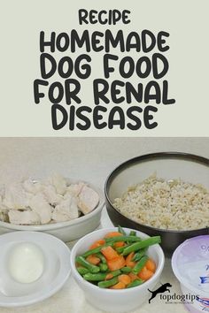 Hearty Health: Homemade Dog Food Tailored for Renal Needs Low Protein Foods, Kidney Friendly Diet, Puppy Things, Make Dog Food, Balanced Meal Plan