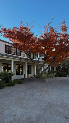 an empty parking lot in front of a building with red leaves on the tree branches