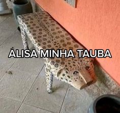 a leopard print bench sitting in front of a wall with the words alisa minha tauba on it