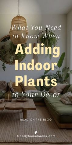 The placement of indoor plants is just as important as selecting the right ones. Have you ever considered how a plant's location impacts its health and your home’s aesthetics? This post provides the knowledge to select, place, and care for indoor plants. Whether you’re in a spacious house, a cozy apartment, or a stylish condo, there’s a plant that fits every space and lifestyle. Ready to enhance your home with plants? Click to read the full guide on the Trendy Home Hacks blog or save this pin! House With Indoor Plants, Indoor Plants Shelves Display, House Plant Placement, How To Add Plants To Your Home, Decor With Plants In Living Room, Where To Place Plants In Your Home, Indoor Plant Placement Ideas, Interior Plants Aesthetic