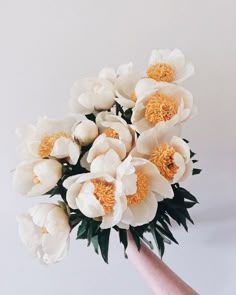 a bouquet of white and yellow flowers in someone's hand on a white background