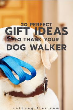 a white dog with a blue leash on it's mouth and the words 20 perfect gift ideas to thank your dog walker