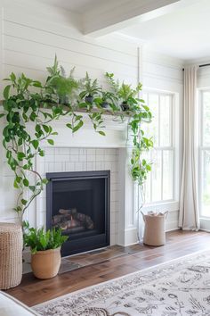 a living room with a fire place and potted plants on the fireplace mantel