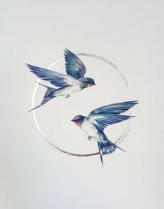 two blue and white birds are flying in the air above a circular object that is painted with watercolors