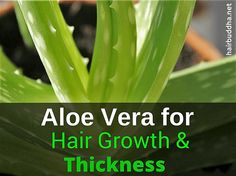 Aloe Vera For Hair Growth, Aloe Vera Gel For Hair Growth, Thick Hair Solutions, Corte Shag, Aloe For Hair, Aloe Vera Hair Mask, Thick Hair Remedies, Thick Hair Growth, Hair Care Growth