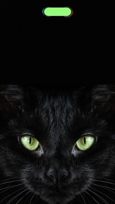 a black cat with glowing green eyes looking at the camera while standing in front of a dark background