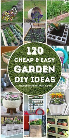 the top ten garden diy ideas