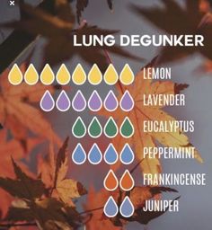 Bronchitis Essential Oils Diffuse, Diffuser Blends For Lung Support, Essential Oils For Lung Health, Essential Oil Perfumes Recipes