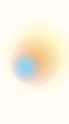 an orange and blue circle on a white background