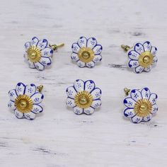 six blue and white flower knobs with gold accents