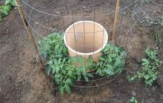 a potted planter in the middle of a garden with wire fencing around it