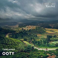 a person riding a bike on a road surrounded by green hills and tea bushes under a cloudy sky