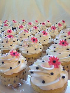 cupcakes with white frosting and pink flowers on them are arranged in rows