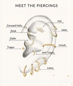 diagram of the parts of a human's ear with captioning text below