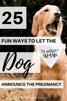 a dog wearing a bib with the words 25 fun ways to let the dog announce the