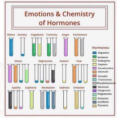 the different types of chemicals in test tubes and beakles with captioning below