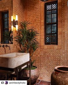 a bathroom with a sink and potted plants