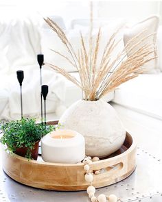 a tray with some plants and candles on it