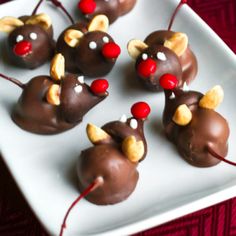 chocolate mice with reindeer antlers on them sitting on a white plate, ready to be eaten