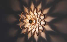 Tom Raffield Arame Pendant projecting layers of dramatic shadows across a wall. Kinetic Art Sculpture, Wall Scones, Wall Lamp Design, Overlays Transparent, Kinetic Art, False Ceiling Design