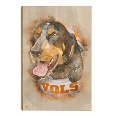 a painting of a dog with the word volls on it's chest and tongue