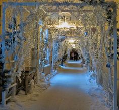 a walkway covered in snow next to trees