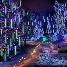 christmas lights on trees and snow covered ground