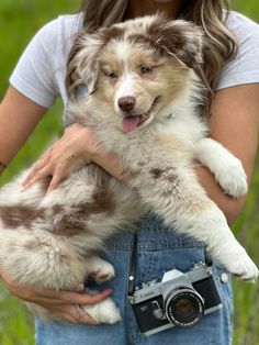 a woman holding a dog in her lap with a camera on it's shoulder