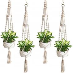 four hanging planters with plants in them