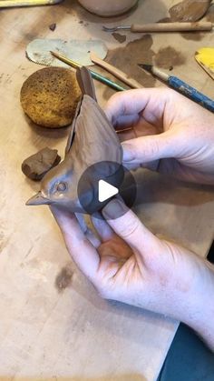 a person holding a small bird on top of a wooden table next to other tools