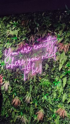 a neon sign that says you are exactly where you need to be on the wall