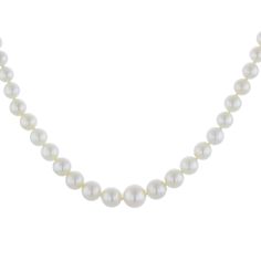 Primary Material : 10k White Gold Primary Gemstone : Pearl Primary Color : White Collection : Modern Pearl Strands Necklace, Pearl Strands, Strand Necklace, Pearl White, White Gold, White, Gemstones, Gold, Color