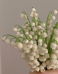 a hand holding a bouquet of white flowers