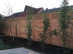 a wooden fence with bamboo trees in the foreground and a house in the background