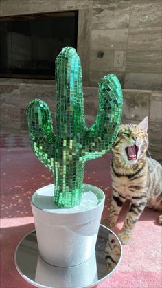 a cat standing next to a green cactus