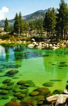 green water surrounded by rocks and trees