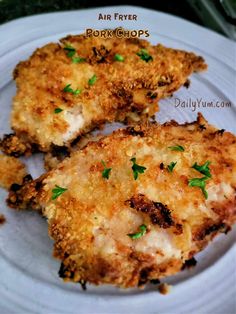 three pieces of fried chicken on a white plate with parsley sprinkles