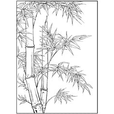 an ink drawing of bamboo trees