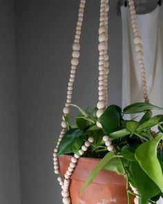 a potted plant with beads hanging from it