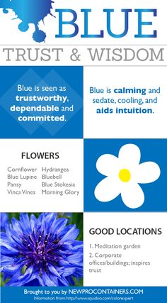 a blue and white flyer with flowers in the center, text that reads trust & wisdom