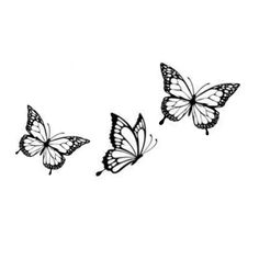 three butterflies flying in the air on a white background, one is drawn with black ink