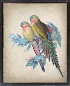 two birds sitting on top of a tree branch next to green leaves and pink flowers