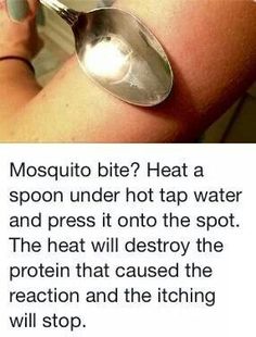 1000 Lifehacks, Sick Remedies, Mosquito Bites, Survival Skills Life Hacks, Survival Life Hacks, Mosquito Bite, Survival Life, Eucalyptus Oil