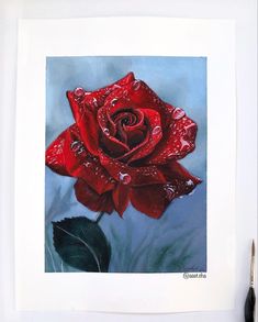 a painting of a red rose with water droplets on it