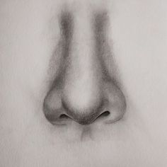 a drawing of a nose is shown in black and white, while the image appears to be drawn with graphite