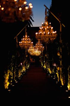 an outdoor walkway with chandeliers lit up in the night sky and trees lining both sides