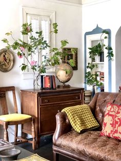 a living room filled with furniture and lots of plants