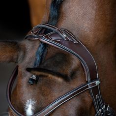 the bridle and reins of a horse are visible